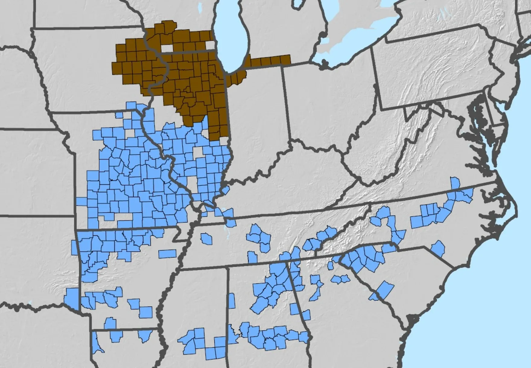 Map showing the expected 2024 emergence areas of two periodical cicada broods: Brood XIII in brown across northern Illinois and nearby areas, and Brood XIX in blue across much of the central and southeastern United States.