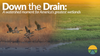 Down the Drain: A new series on wetlands by the Ag & Water Desk