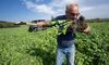 Friends of Sinsinawa soil caretaker Rick Bieber smells the soil used for cover crops the dairy cows graze on Friday, October