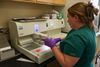 Inside the fight against ‘zombie deer disease,’ scientists confront changing politics