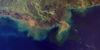 This summer’s ‘dead zone’ in the Gulf will be larger than average, but task force claims progress is being made