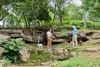 A woman and man walk together with three dogs in a forested backyard