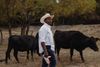 a farmer walks by his cattle 