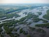 An aerial view of wetlands in a river