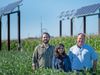 Three researchers in a field of crops. Behind them are solar panels