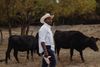 Farm conservation programs offer solutions to climate threats, but they’re vastly underfunded