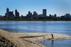 a man is seen walking wih a stick while his dog runs in front of him on a sandy bay by the water. the city skyline is behind them