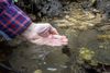 A hand scoops out water from a spring.