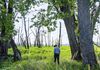 US Army Corps of Engineers Forester Andy Meier walks toward “the boneyard,” a degraded area of floodplain forest in the Reno Bottoms along the Mississippi River.