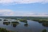 Floodplain forests along the Mississippi River.