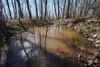 Water collects among trees at the West Tennessee Wetlands Mitigation Bank.