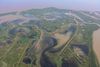 Aerial view of swampland next to the gulf. The shallow water is brown, in some places it is very dark