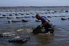 Kirk Curole stands in the water, shaking algae off a floating oyster cage at Bayside Oysters in Grand Isle, Louisiana.