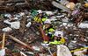Three men in safety gear and hard hats are moving through shoulder-high water. The water is filled with debris and tree branches.