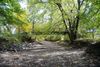 The dry Minnehaha Creek bed in Minneapolis is exposed beneath trees.