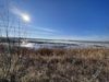 The sun shines over a wetland