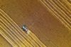 Aerial view of a combine harvesting a large golden-brown field, leaving parallel rows behind it.