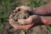 Midwest drought: Corn and soybeans suffer as forecasters expect no quick relief for farmers