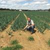 A farmer squats for a photo on his onion farm in the Vidalia sweet onion growing region in Georgia.