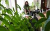 A girl stands by a table of tree saplings in black plant pots in a room full of plants 