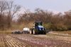 Farm equipment spreads fertilizer over a purple field