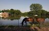 Two horses drink from flood water. In the background, a house and truck are partially submerged