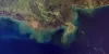 Satellite view of The Gulf of Mexico’s hypoxic “dead zone” at the end of the Mississippi River.