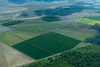 Aerial view of crop fields