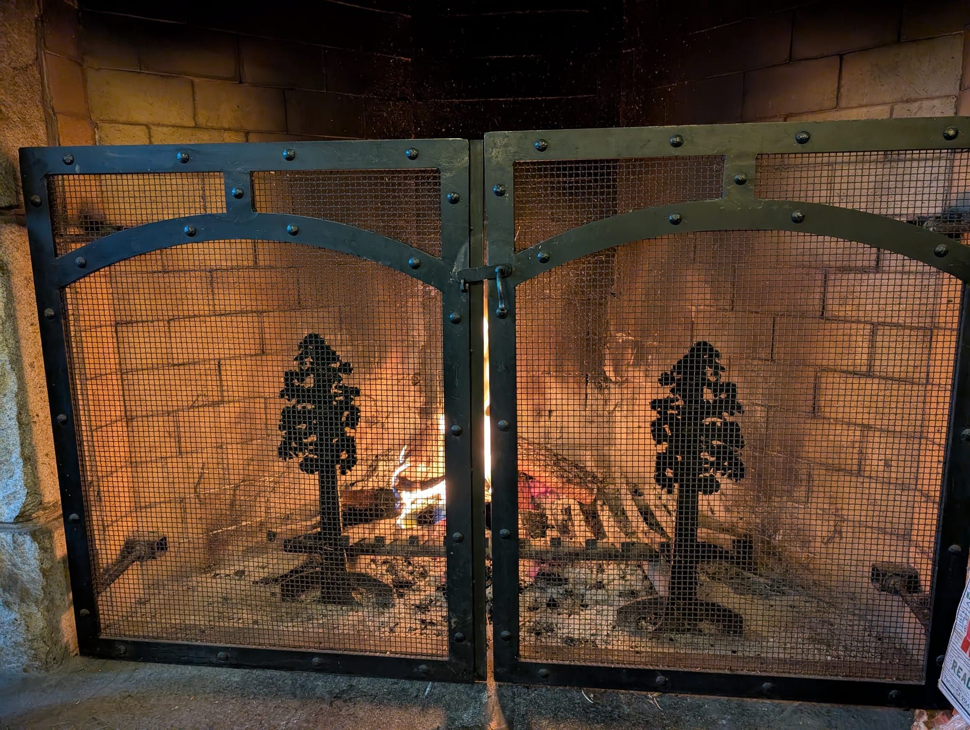 Books I read in 2025