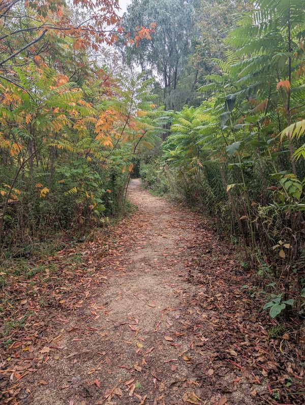 Wandering, Not Lost