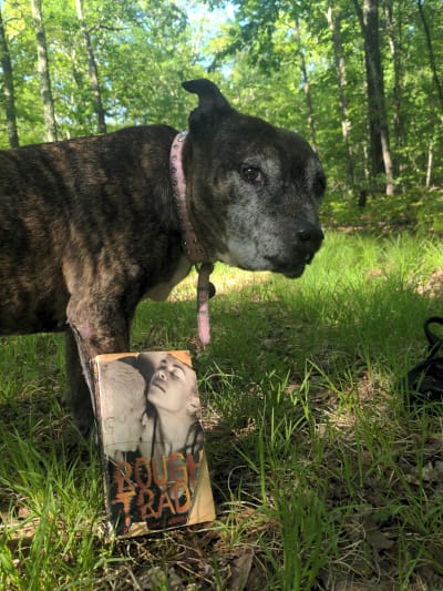 My elederly reverse-brindle pit bull Darlene poses on a wooded trail, looking back at me with a stink eye. A battered paperback copy of RJA's Rough Trade leans against her, the cover showing a dyke couple in heated embrace.