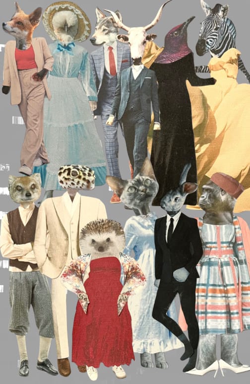 Animal Noir