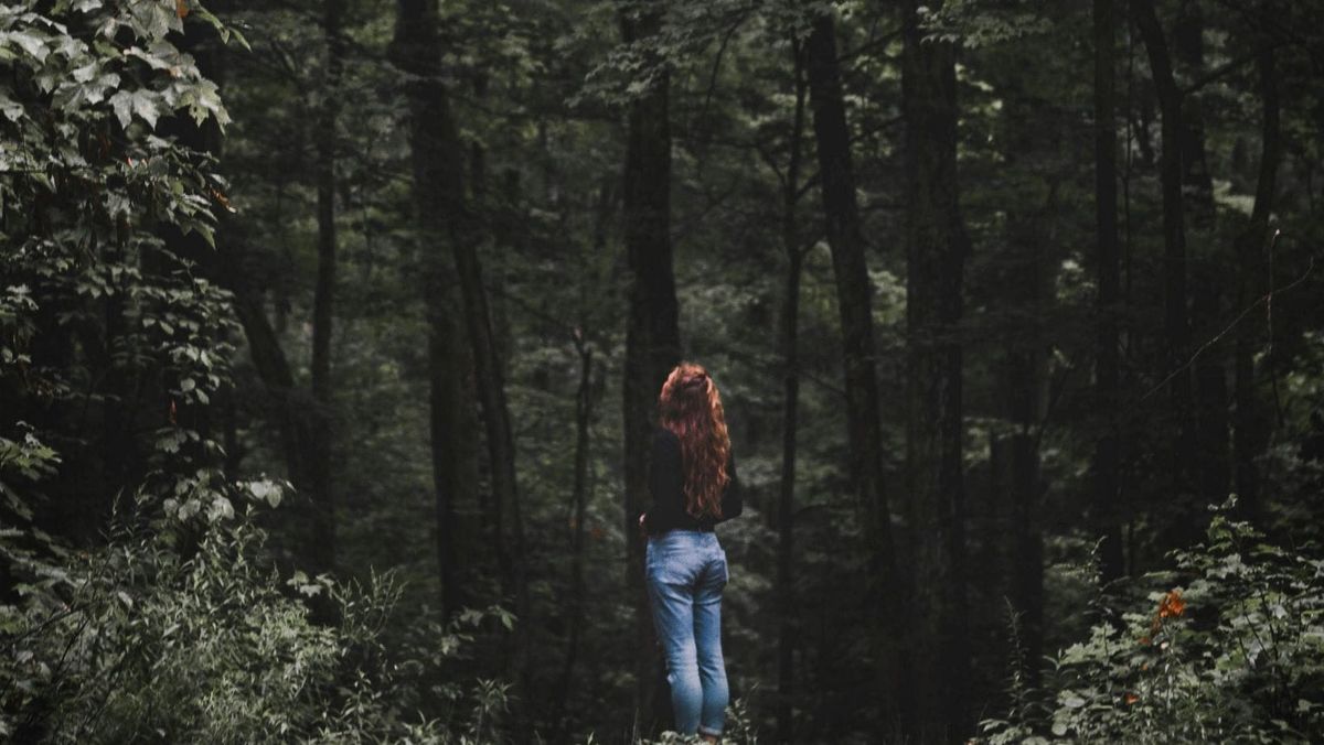 It's time to explore the woods