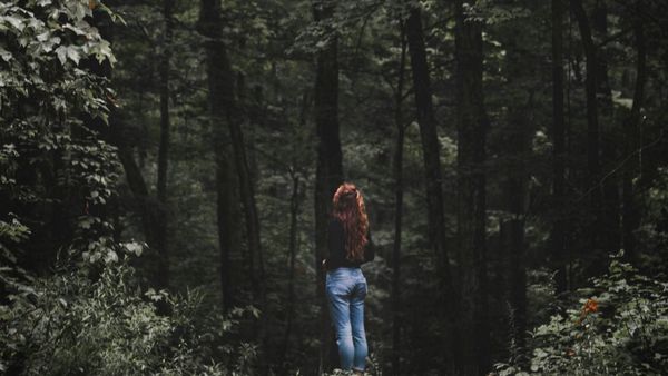 It's time to explore the woods