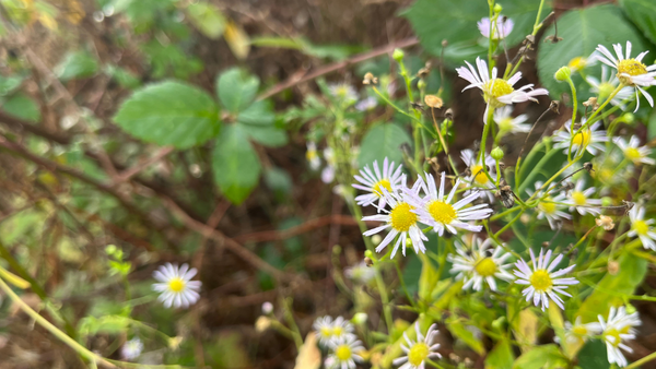 Different, but only just