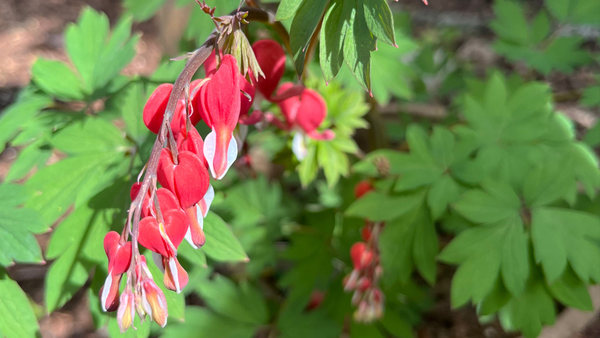 A week of rest, and (clickbait) I found myself in a mid-life crisis