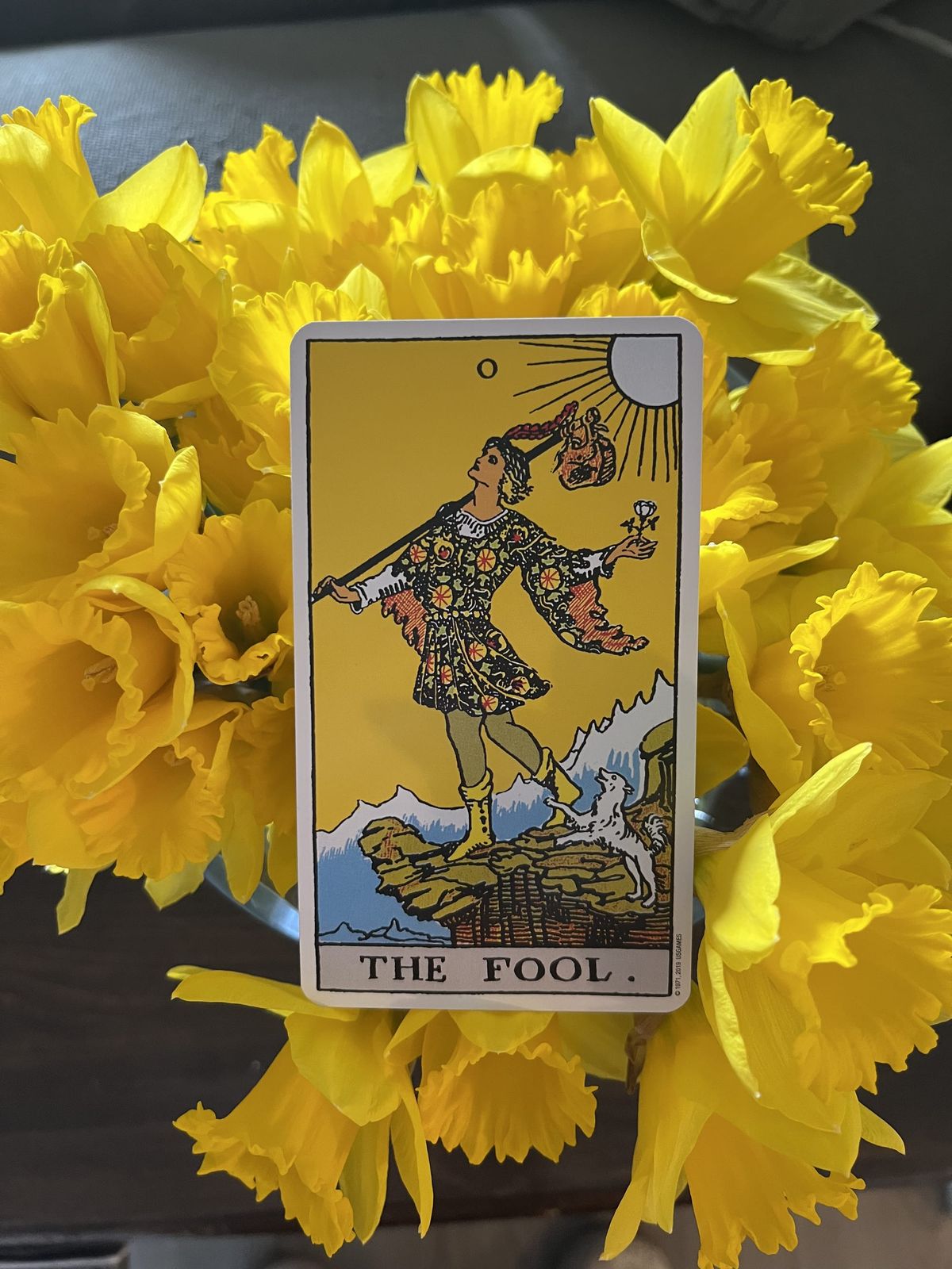 The Fool tarot card placed on a bouquet of bright yellow daffodils.