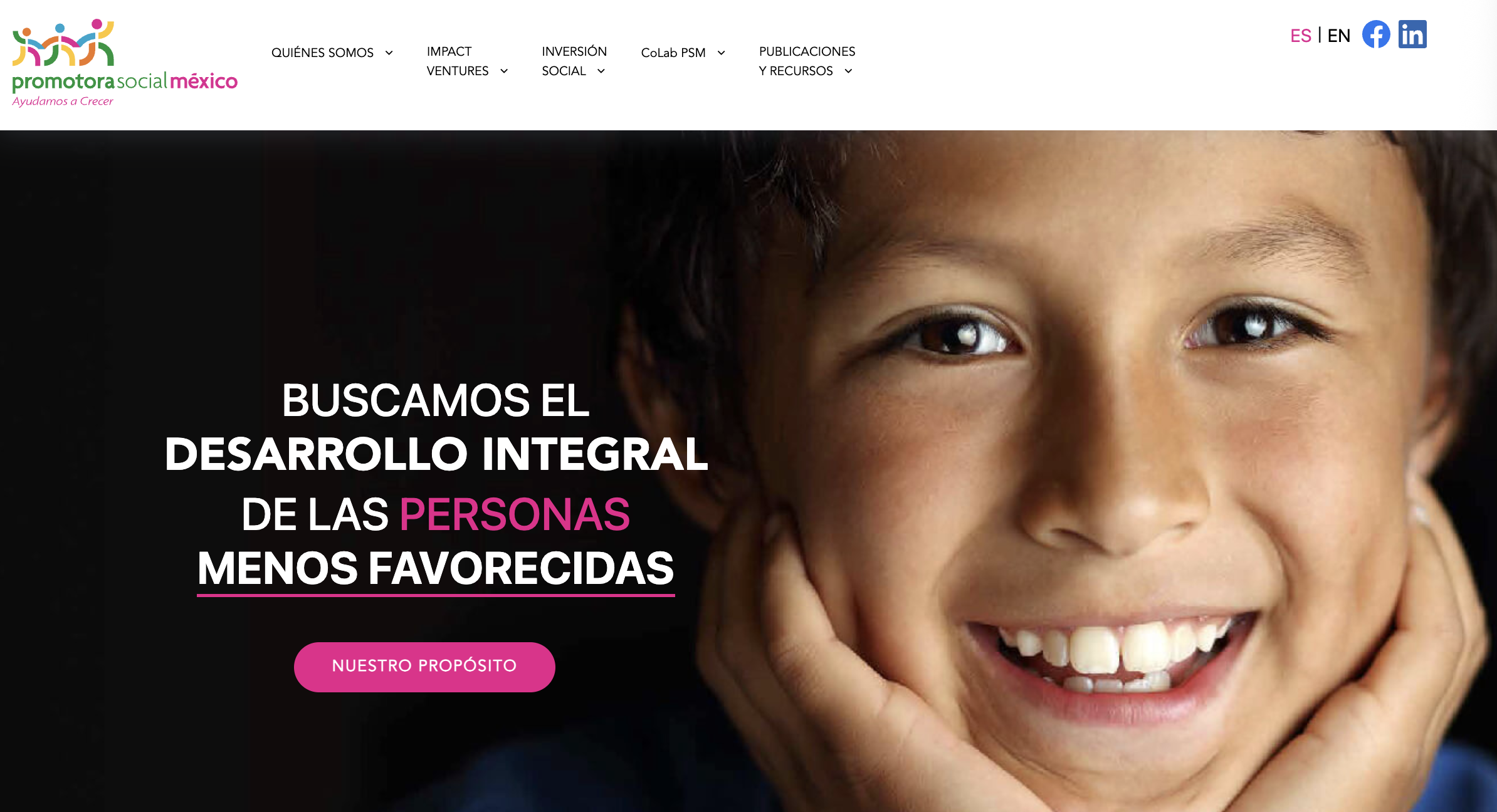 Promotora Social México Website Home.