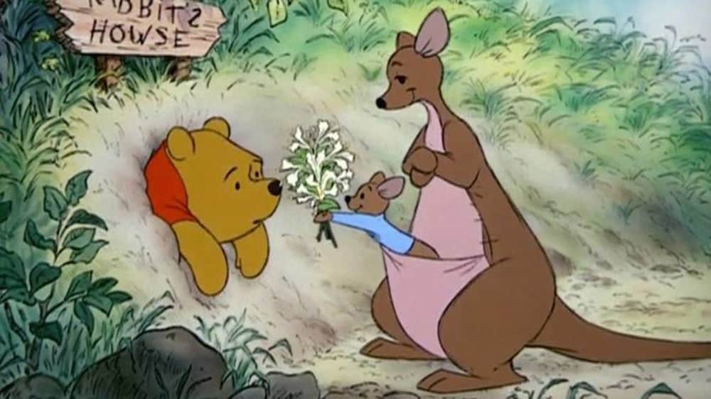 Winnie the Pooh receiving flowers from a baby kangaroo