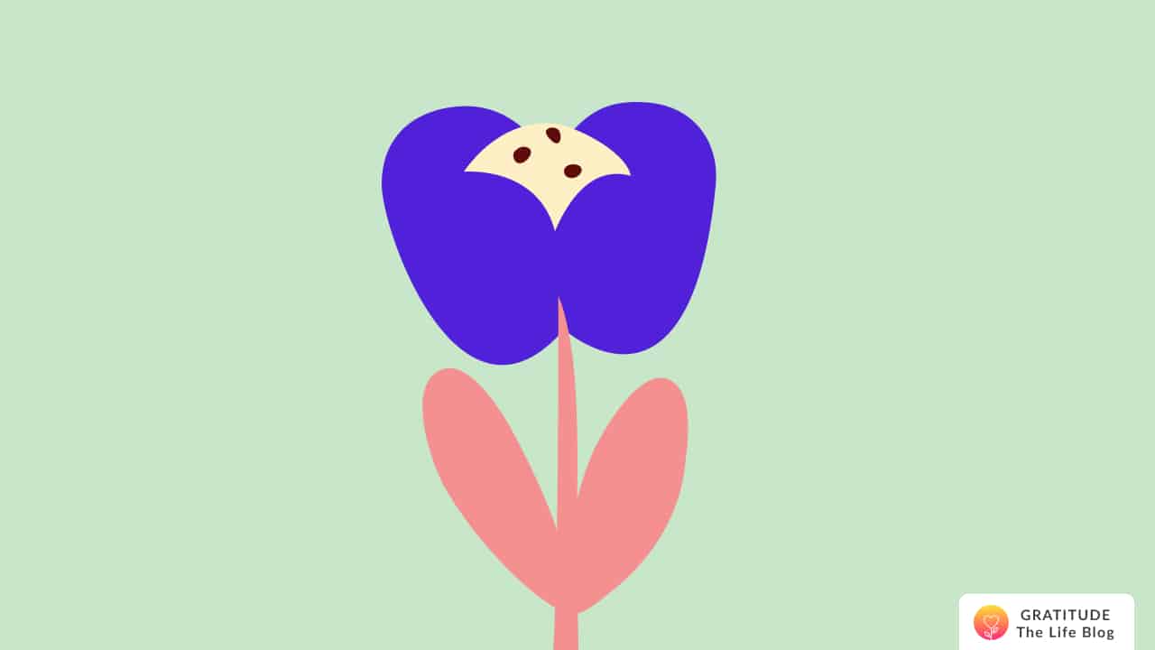 Illustration of a blue, yellow, and pink flower