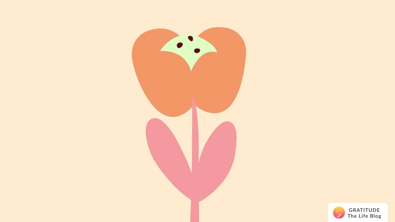 Illustration of a flower