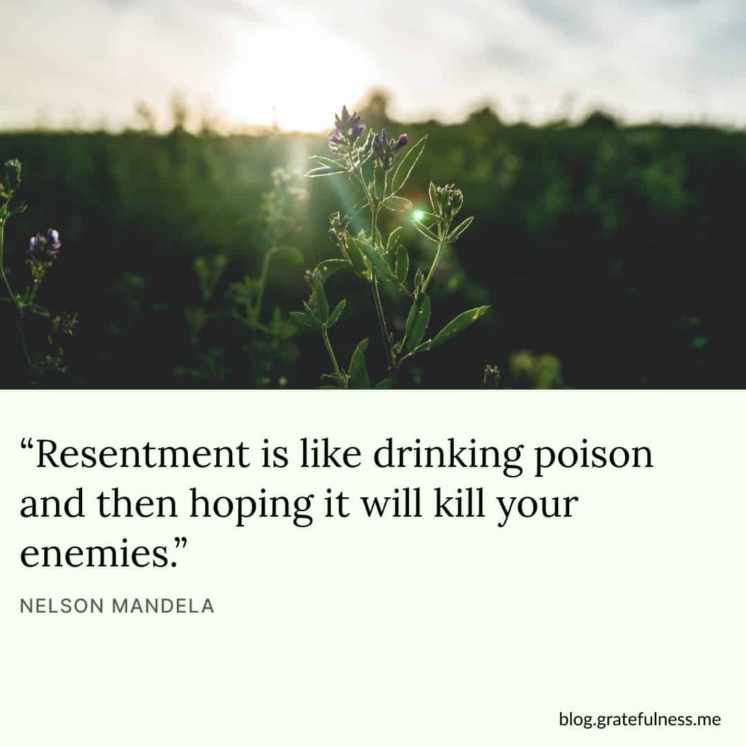 Image with forgiveness quote by Nelson Mandela