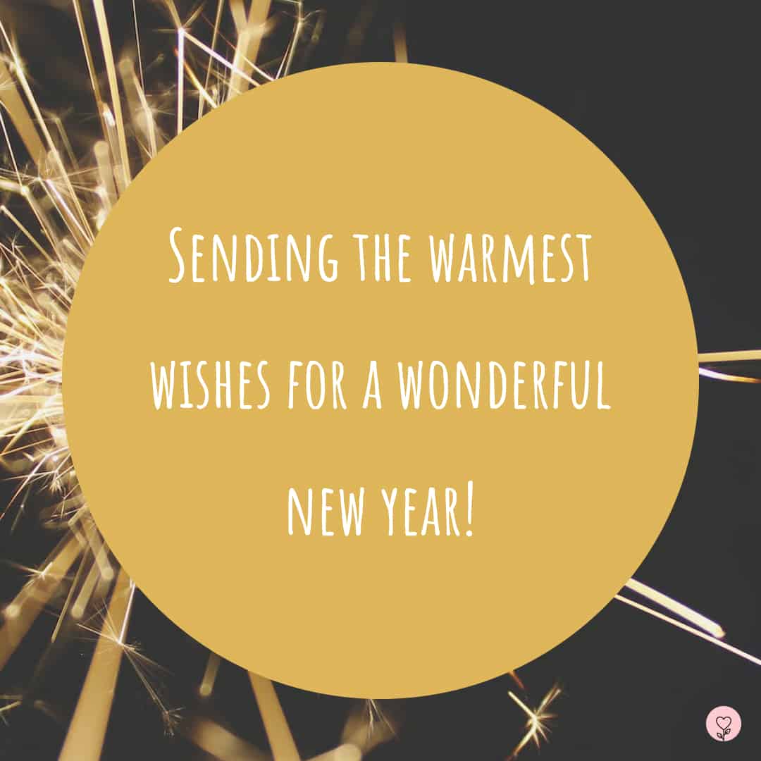 Image with a new year wish - Sending the warmest wishes for a wonderful new year!