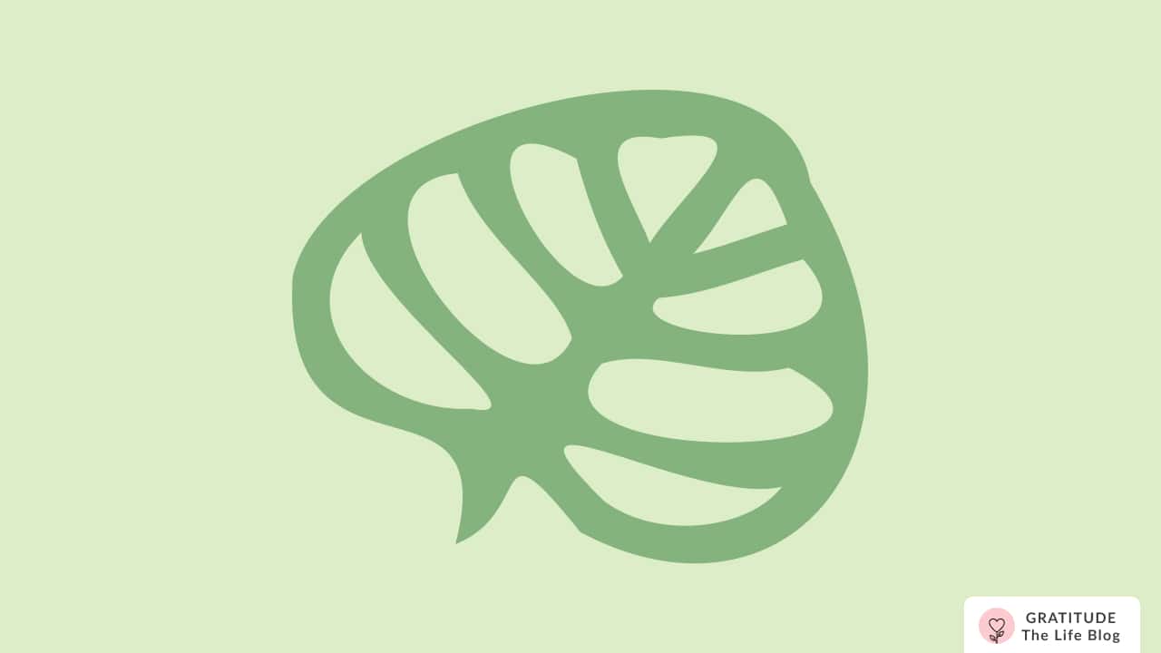 Image with illustration of a leaf