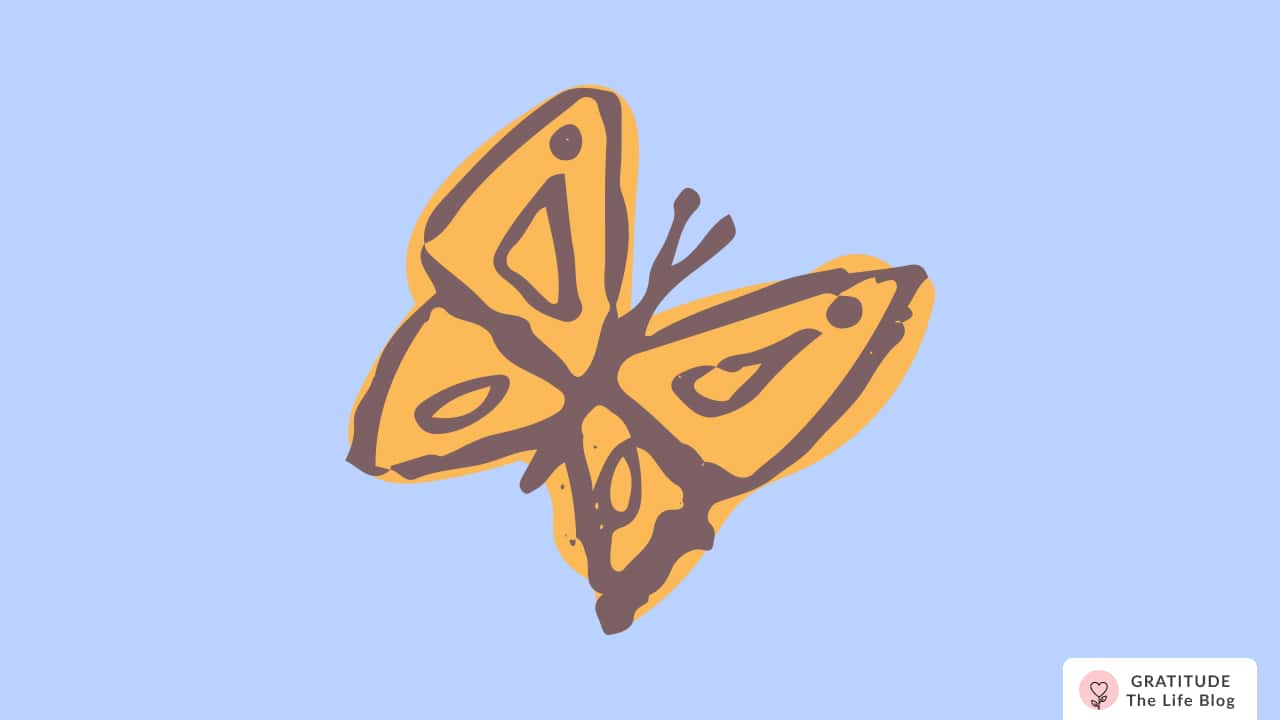 Image with illustration of a butterfly