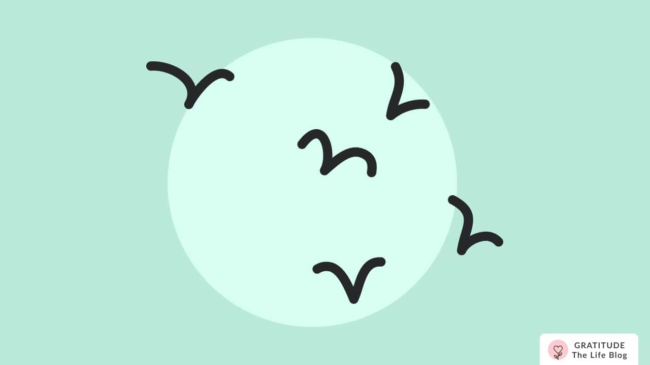 Image with illustration of flying birds