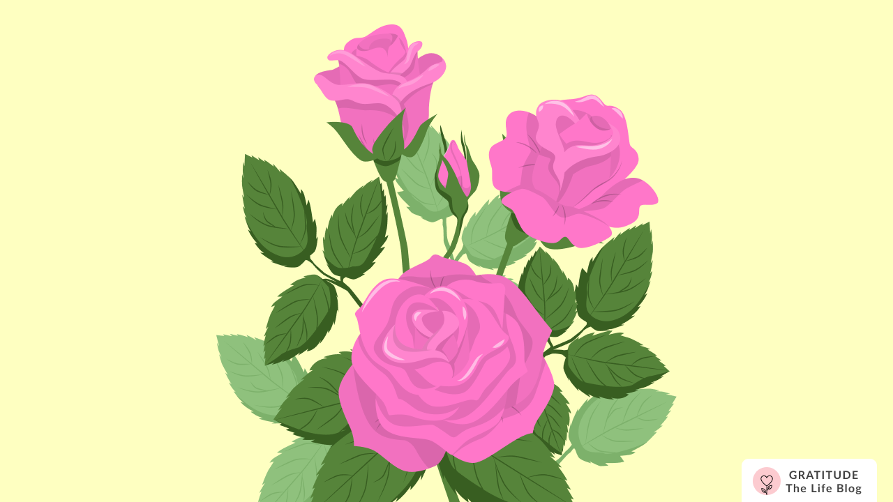 Liz's Gratitude Story: The Rain Brings the Green