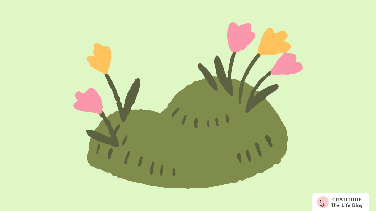 Anjali's Gratitude Story: Hold On, Pain Ends