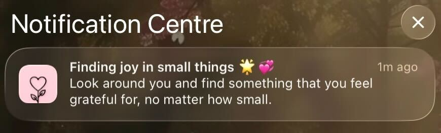 Gratitude Rituals: Practicing The Art Of Appreciation