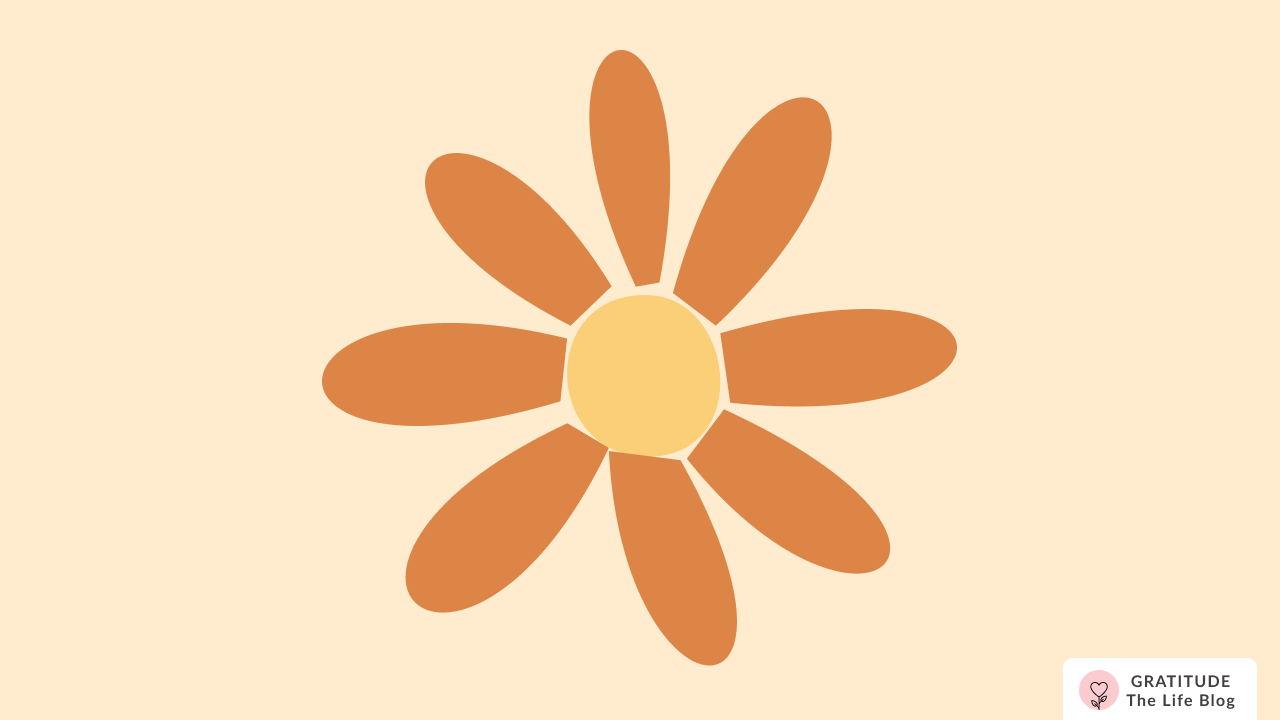 Jadwiga's Gratitude Story: The 10-10-10 Method